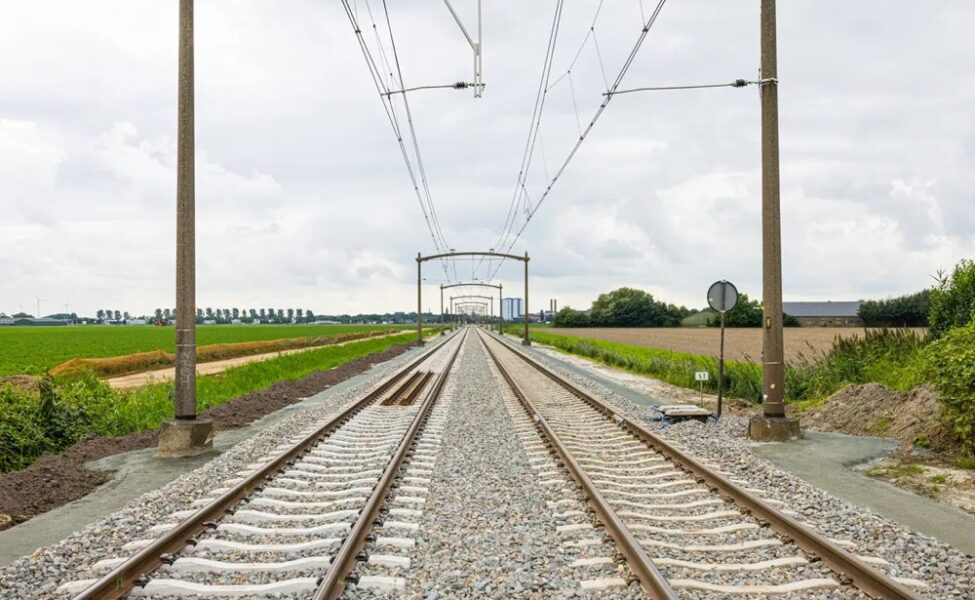 spoor